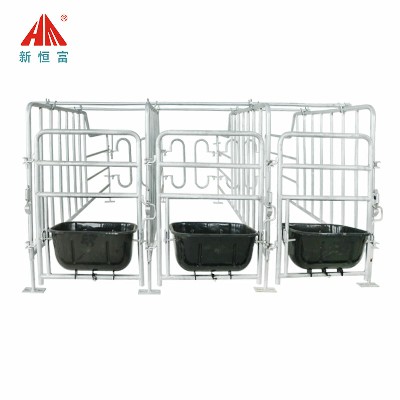 母豬（zhū）限位欄