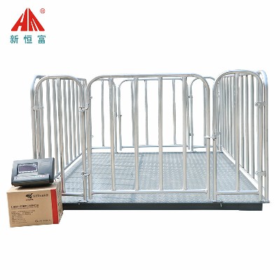 地磅（páng）秤