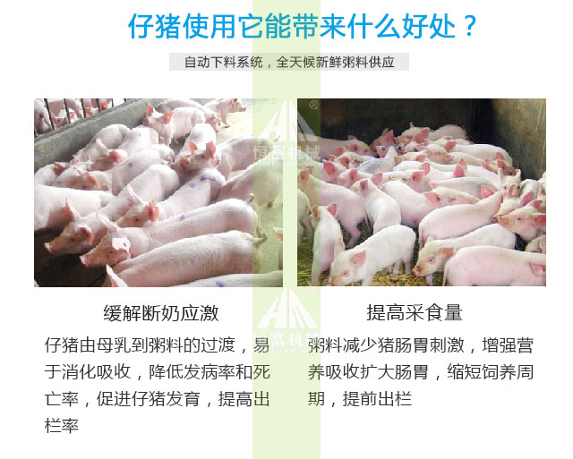 智能喂（wèi）料機（jī）